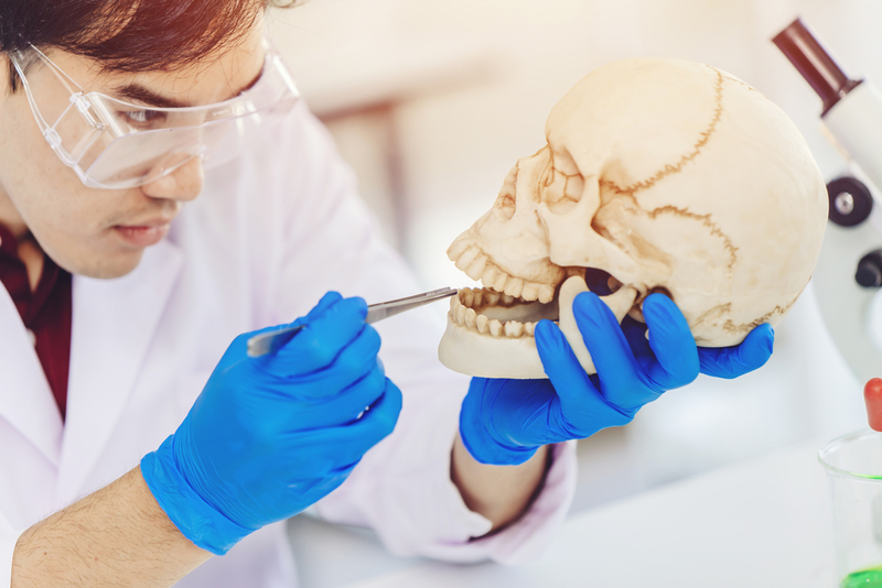 Sink Your Teeth Into Ancient Dentistry | Shutterstock