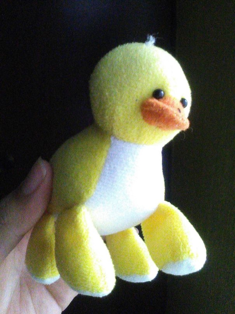 The Existential Crisis Of A Toy Duck | Imgur.com/jRGRQNC