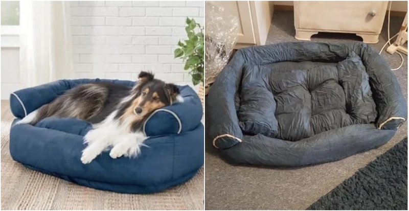 The Great Dog Bed Swindle | Reddit.com/Riinmi